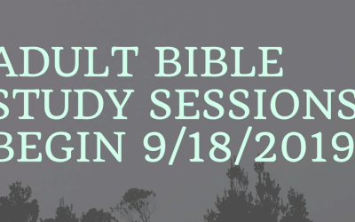 Adult Bible Study