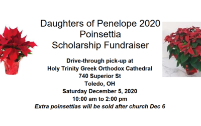 Daughters Poinsettia Sale